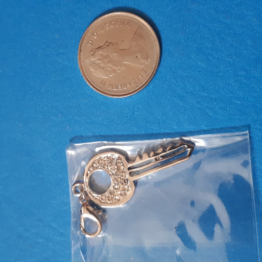 Charms or pendant.